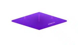 Netwrix Layer2 Identity